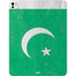 Pakistan Flag Distressed iPad Pro 13in M4 (2024) Skin
